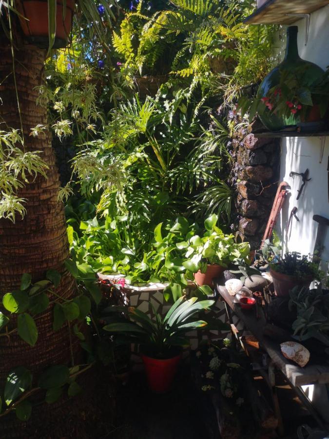 Villa Sila El Paso Dış mekan fotoğraf