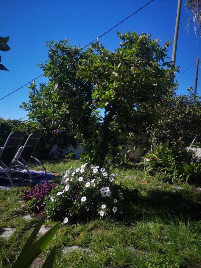 Villa Sila El Paso Dış mekan fotoğraf