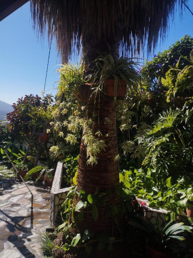 Villa Sila El Paso Dış mekan fotoğraf